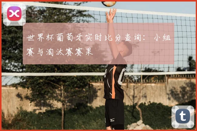 世界杯葡萄牙实时比分查询：小组赛与淘汰赛赛果